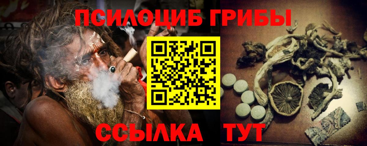 Псилоцибиновые грибы прущие грибы Печора