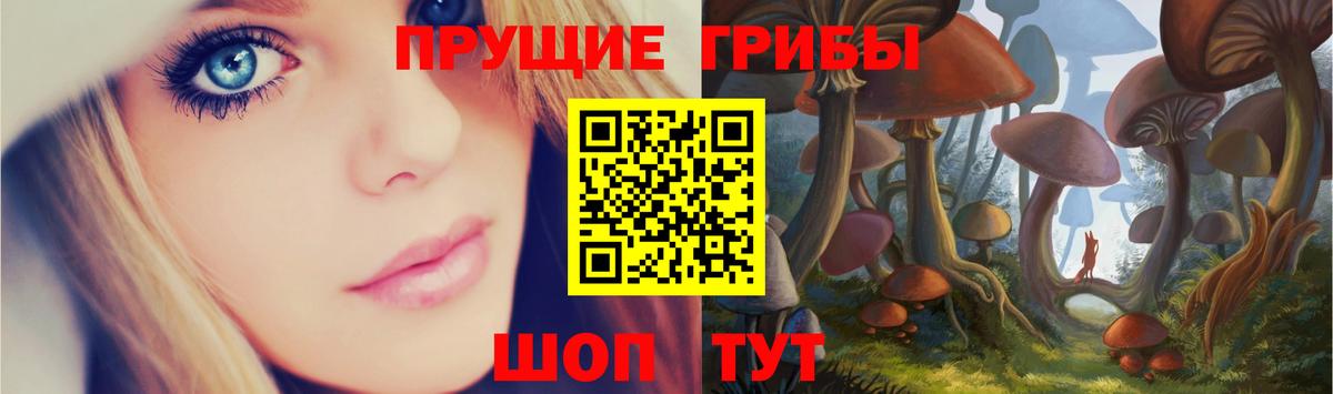 продажа наркотиков  Галлюциногенные грибы MAGIC MUSHROOMS  Вход с VPN  Печора 